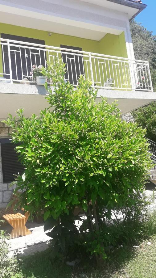Apartment Dragone Улцин Екстериор снимка
