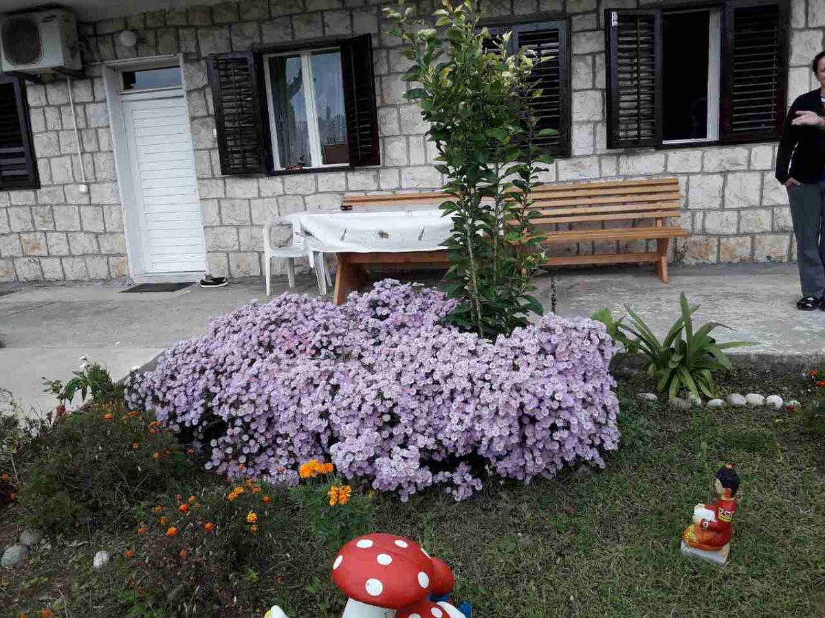 Apartment Dragone Улцин Екстериор снимка